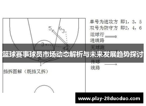 篮球赛事球员市场动态解析与未来发展趋势探讨